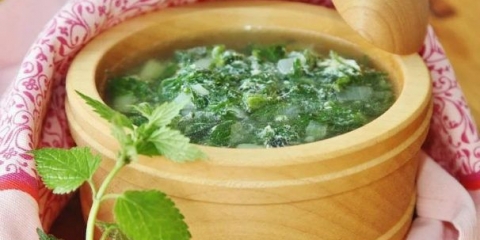 Supa od koprive: recepti sa fotografijama, prednosti i štete